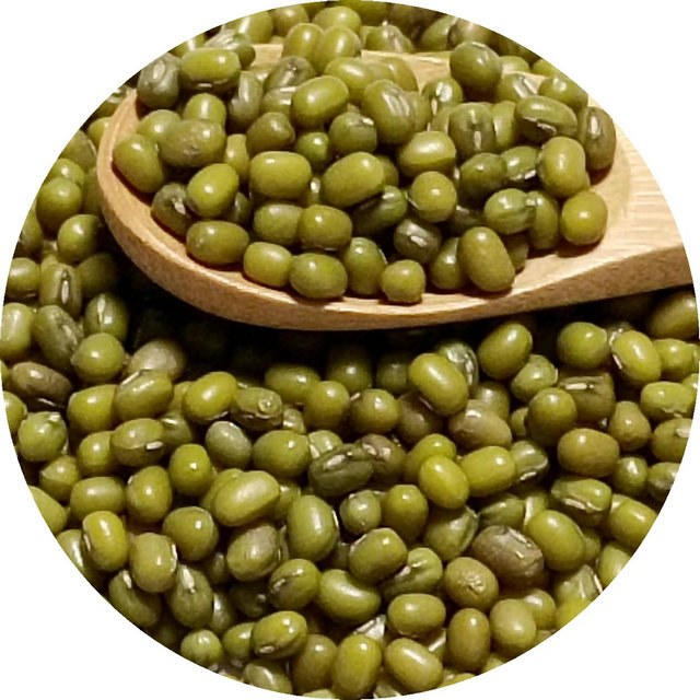 Mung bean protein